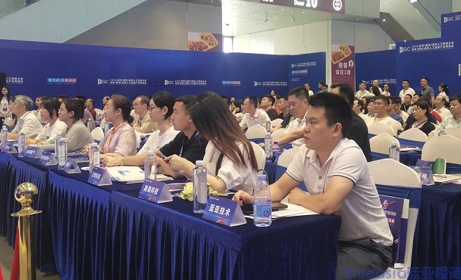 蓝亚技术荣获2024**人工智能"最佳贡献单位奖"(图1)